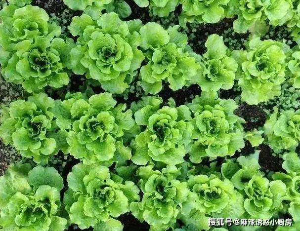 罕见馒头”10元一个！收入让同事羡慕！冰球突破平台40岁男子下班后摆摊卖“(图2)