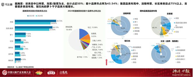 业发展大会：调味品竞争态势及发展趋向冰球突破爆百万大奖分享实录丨川调产(图21)