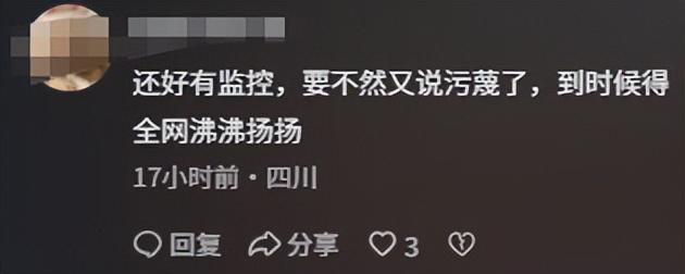摸其臀部死不承认被抓大闹警局追悔莫及冰球突破游戏网站女子三亚遭老头猥亵：(图18)