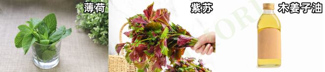 2种天然香料！告别高盐饮食～冰球突破透析肾友做饭用这2(图7)